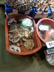 live octopus noryangjin fish market